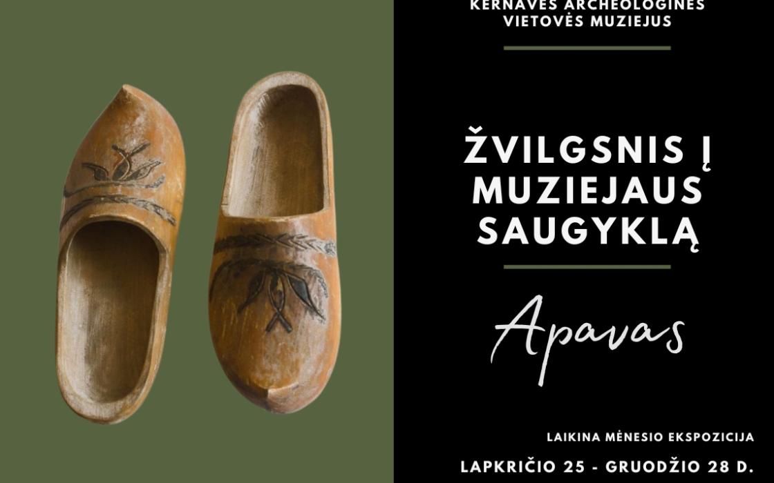 Žvilgsnis į muziejaus saugyklas - apavas