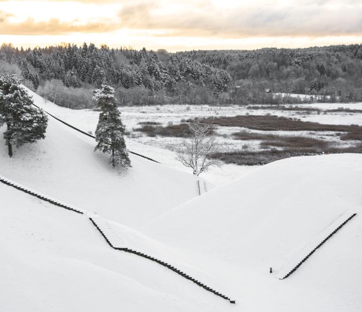 Snieguota gamta