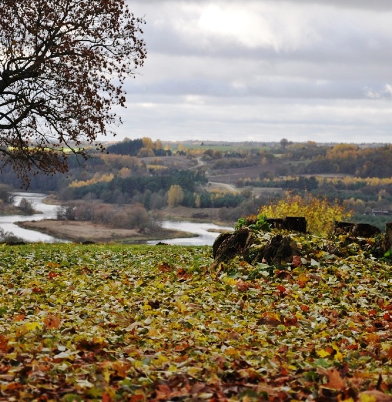 2015 m. ruduo ant Kernavės piliakalnių